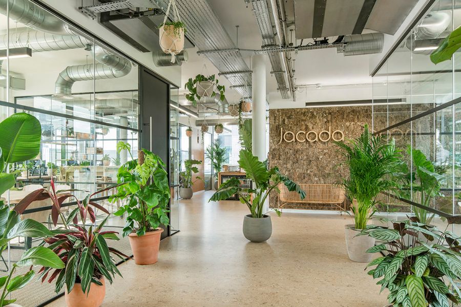 Thuê cây cảnh văn phòng Thủ Dầu Một