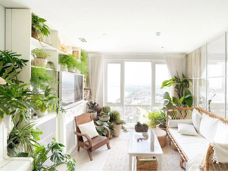 Cho thuê cây xanh nội thất Thủ Dầu Một