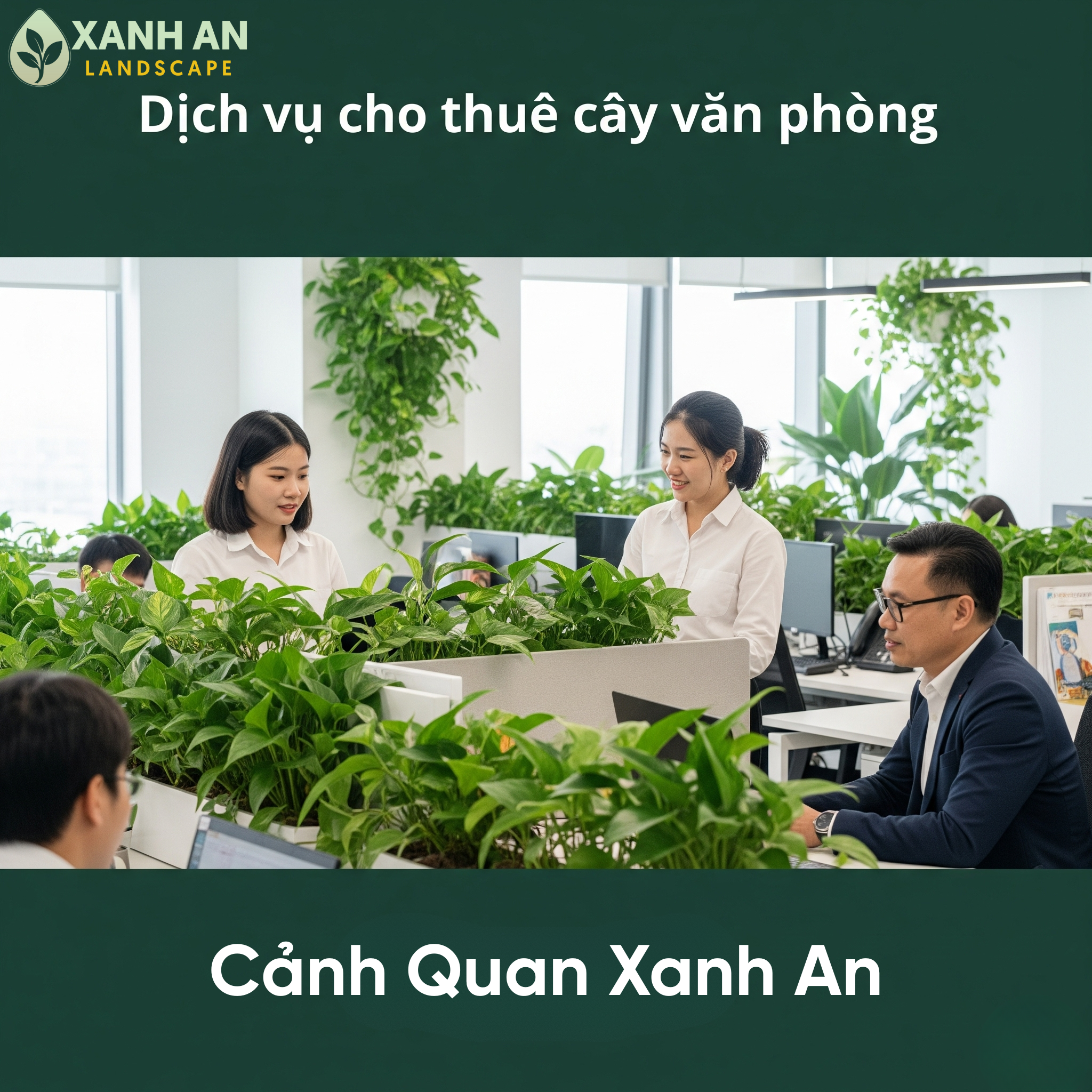 Dịch vụ cho thuê cây xanh văn phòng Phú Giáo