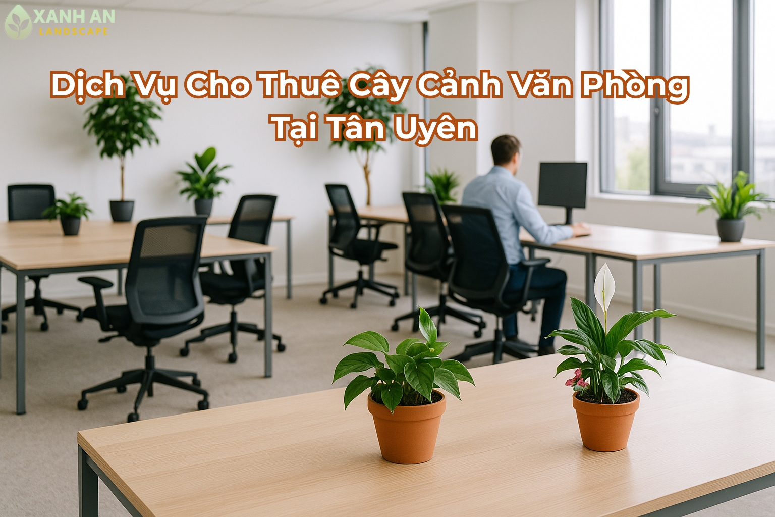 Dịch vụ cho thuê cây cảnh văn phòng Tân Uyên