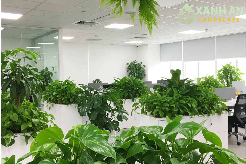 Dịch vụ cho thuê cây xanh nội thất Bàu Bàng