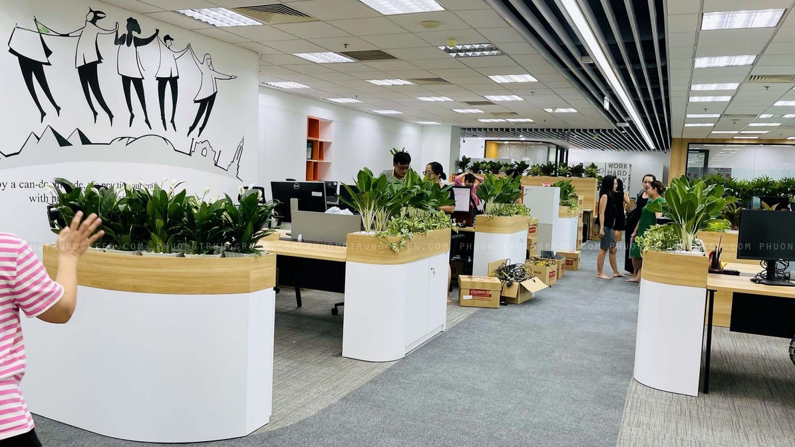 5 Lưu ý cần biết khi thuê cây cảnh văn phòng