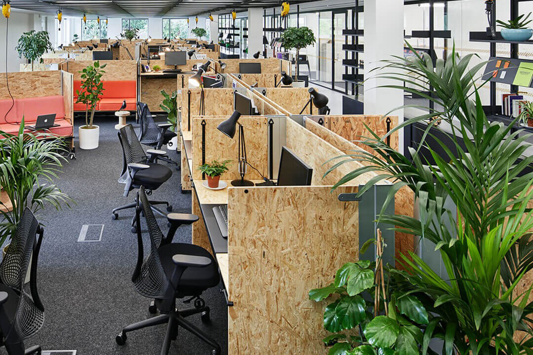 6 lưu ý chăm sóc tiểu cảnh cây văn phòng tại Thủ Dầu Một